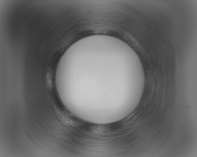 X0000073830074200609071526