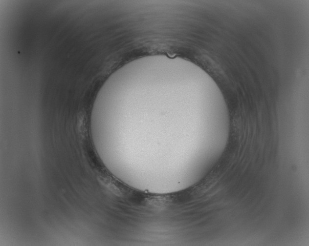 X0000073830079200609071526