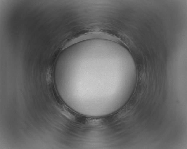 X0000073830081200609071526