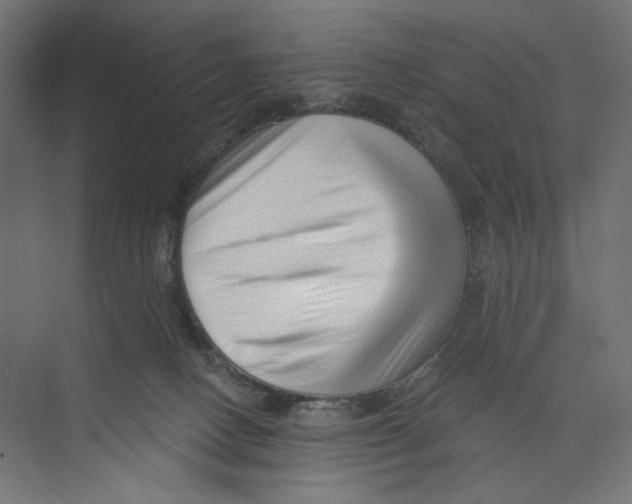 X0000073830082200609071526