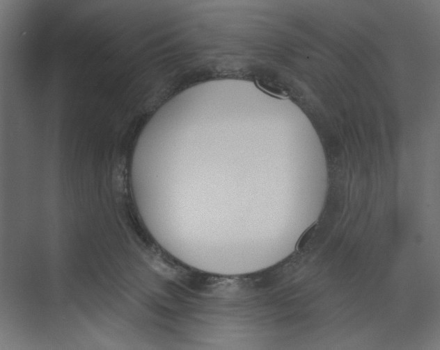 X0000073830083200609071526