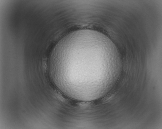 X0000073830085200609071526