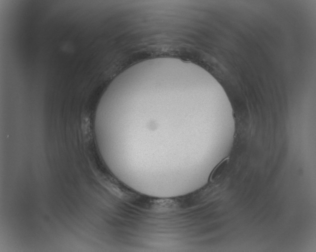 X0000073830087200609071526