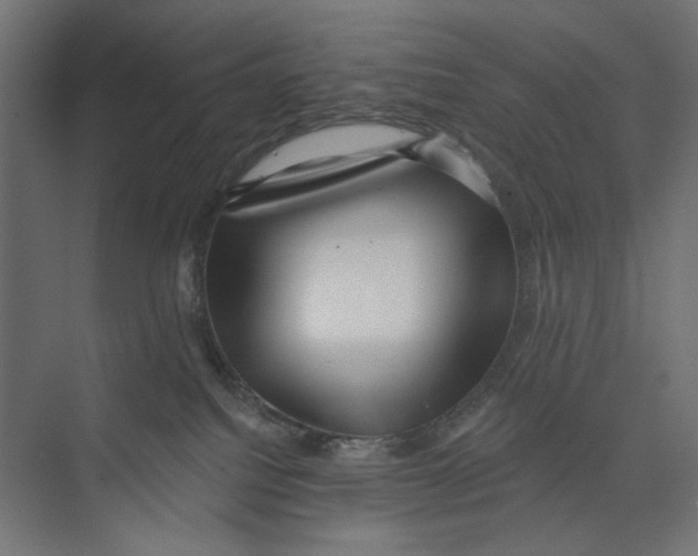 X0000073830088200609071526