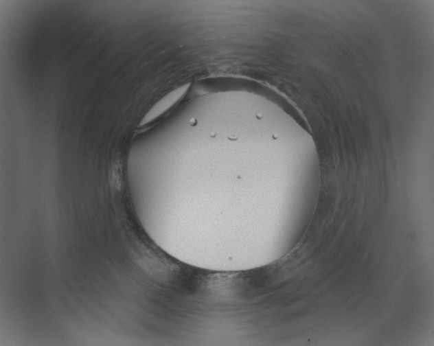 X0000073830090200609071526