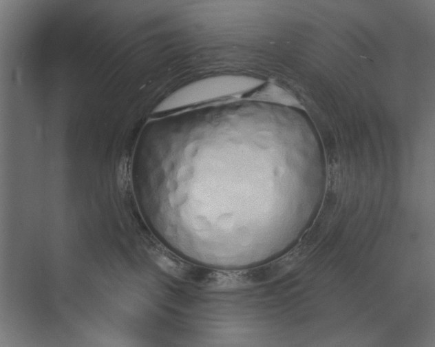 X0000073830093200609071526