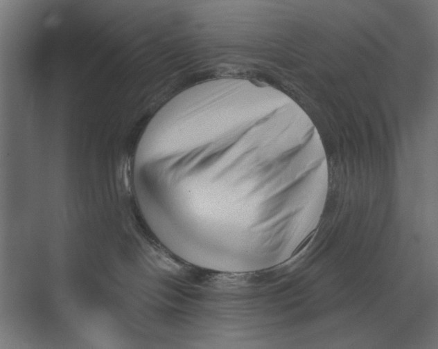 X0000073830094200609071526