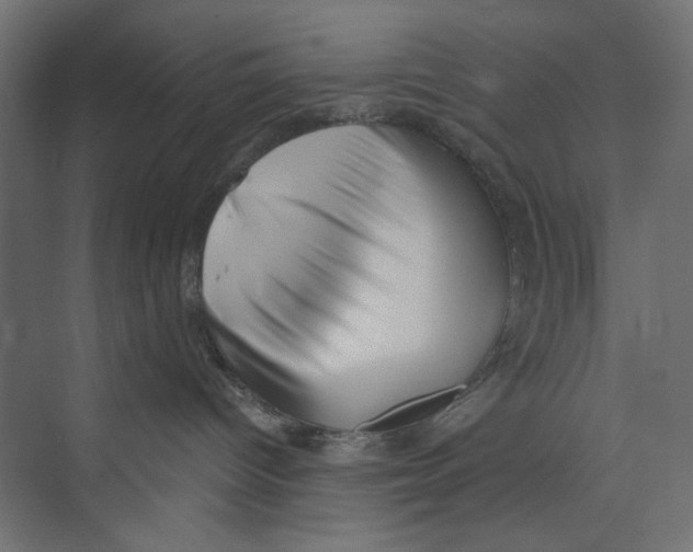 X0000073830096200609071526