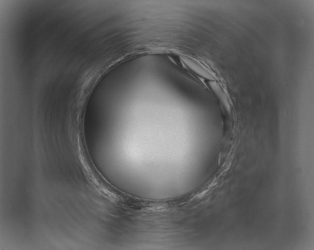 X0000073830097200609071525