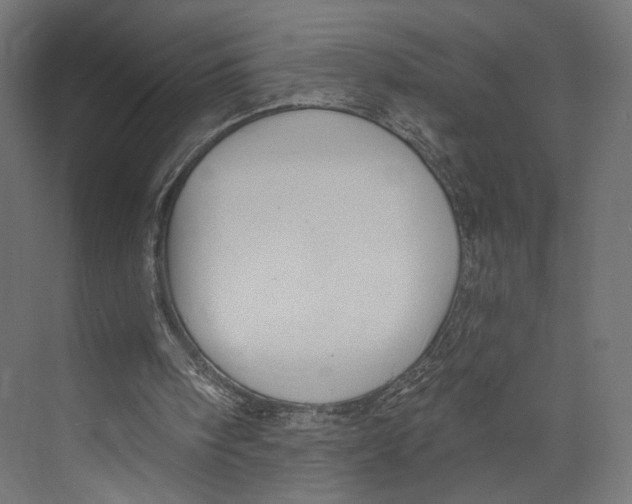 X0000073830098200609071525