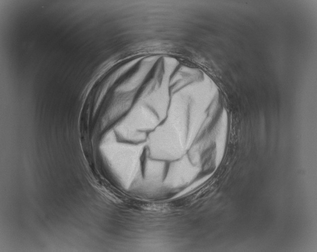 X0000073830099200609071525