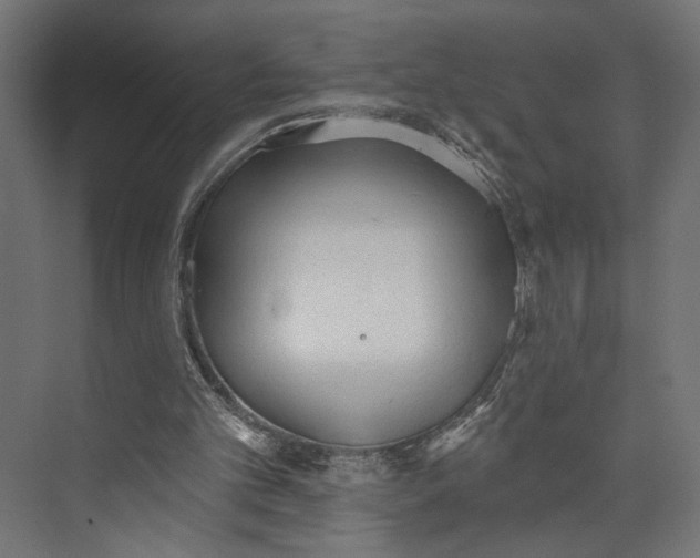 X0000073830101200609071525