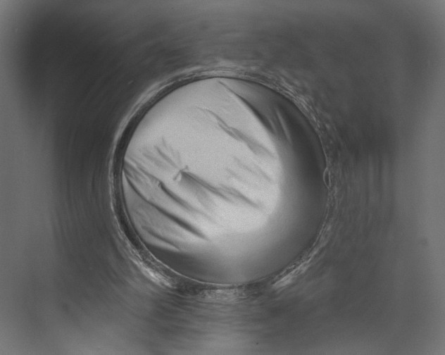 X0000073830102200609071525