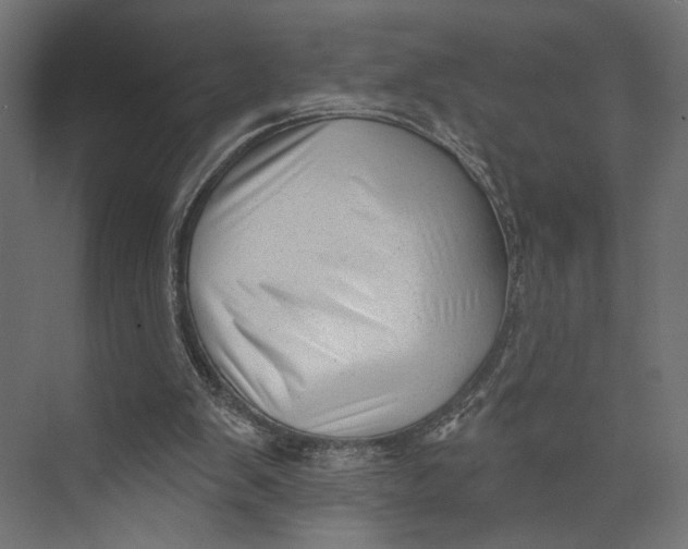 X0000073830103200609071525