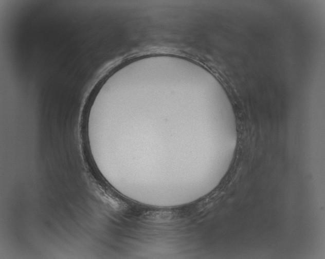 X0000073830104200609071525