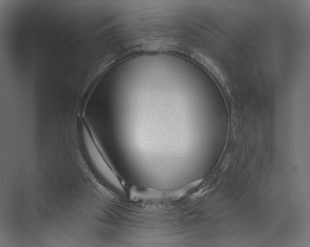 X0000073830105200609071525