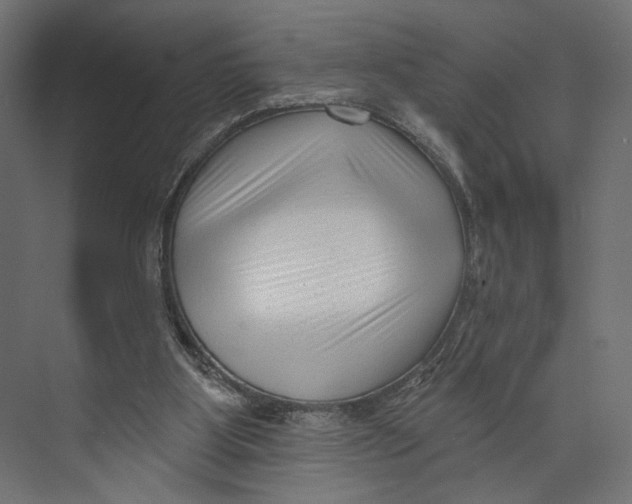 X0000073830107200609071525