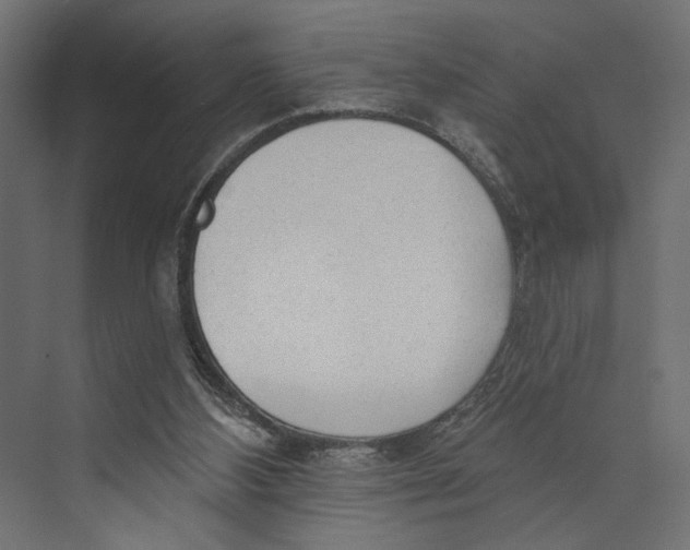 X0000073830108200609071525