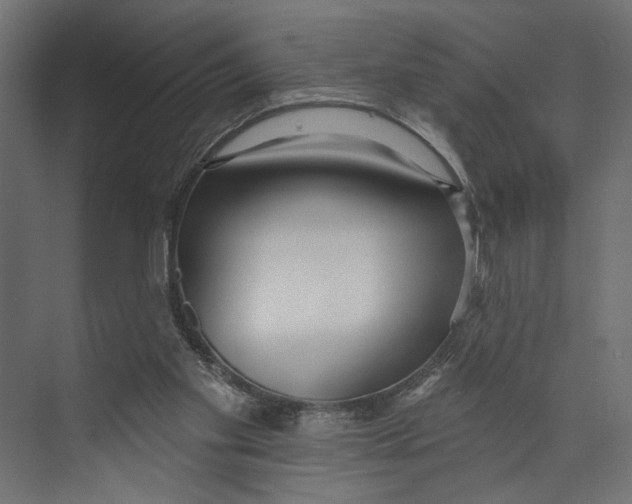 X0000073830109200609071525