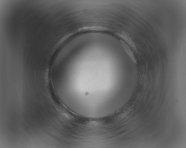 X0000073830111200609071525