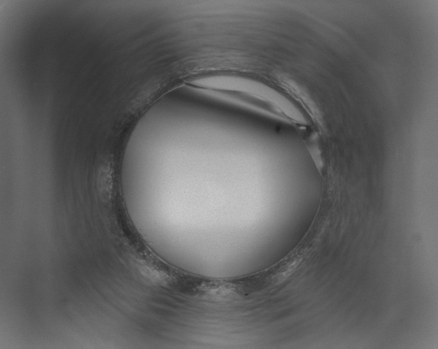 X0000073830113200609071525