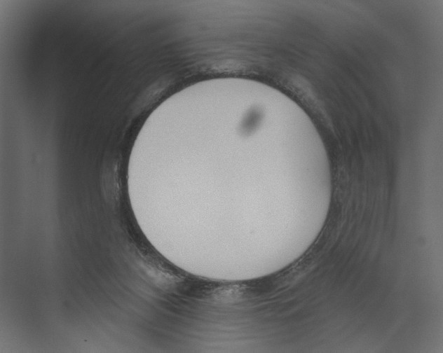 X0000073830116200609071525