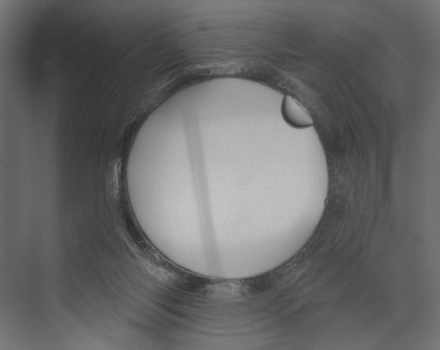 X0000073830118200609071525