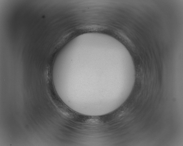 X0000073830119200609071525