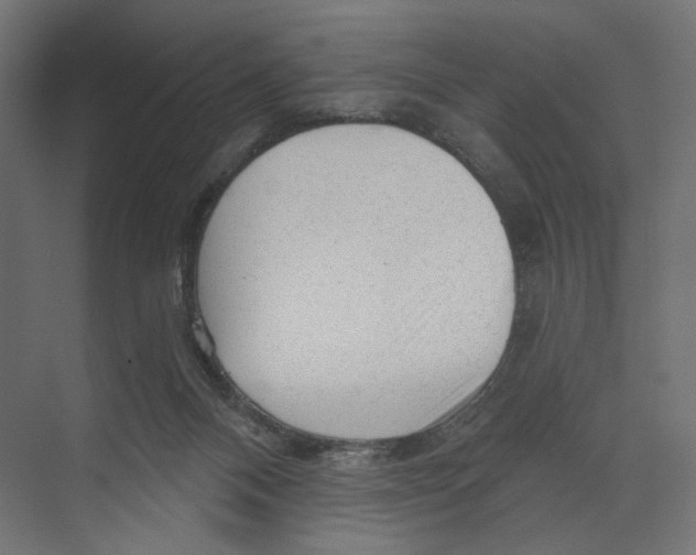 X0000073830120200609071525