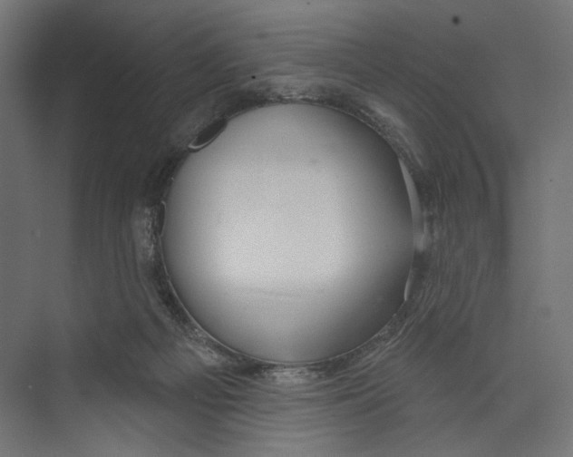 X0000073830121200609071525