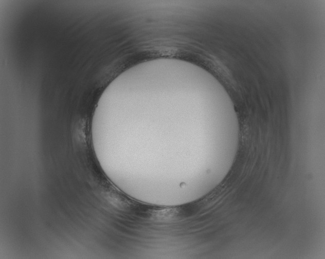 X0000073830122200609071525