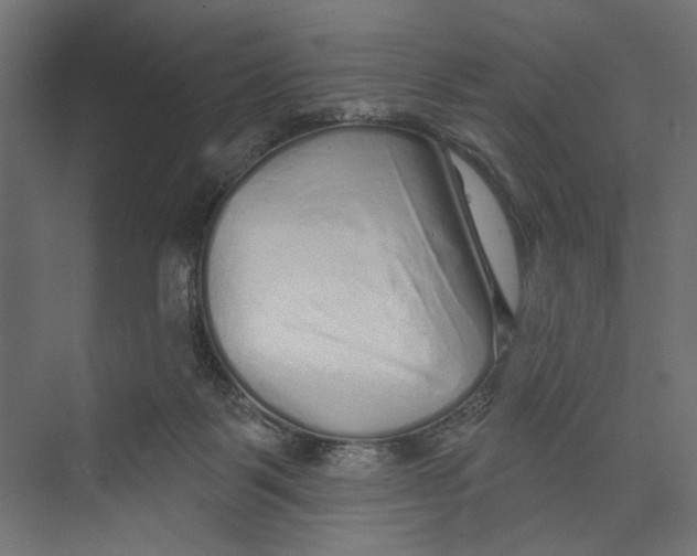 X0000073830123200609071525