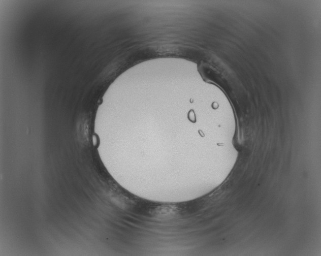 X0000073830124200609071525