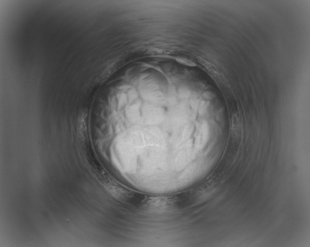 X0000073830127200609071525