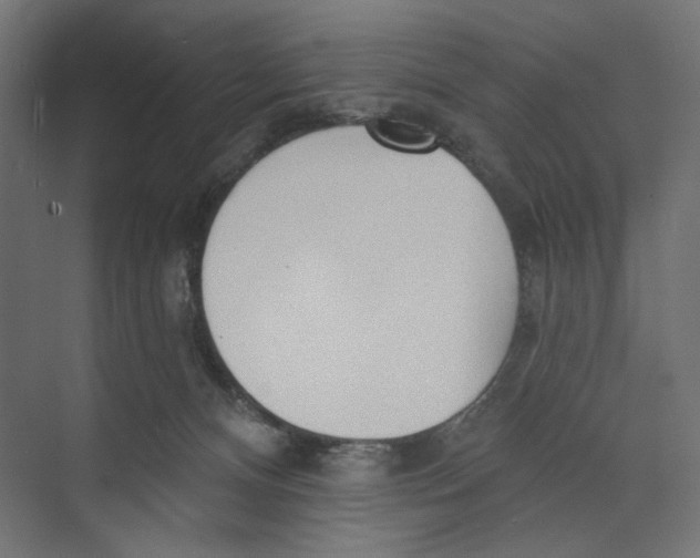 X0000073830128200609071525