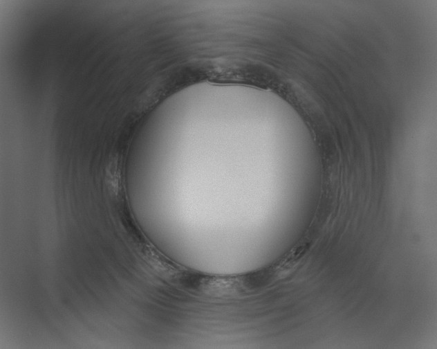 X0000073830129200609071525