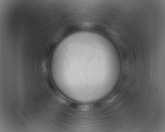 X0000073830131200609071525