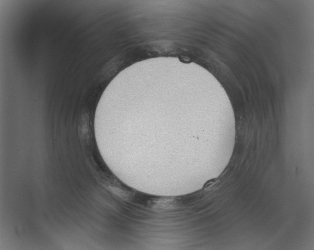 X0000073830132200609071525