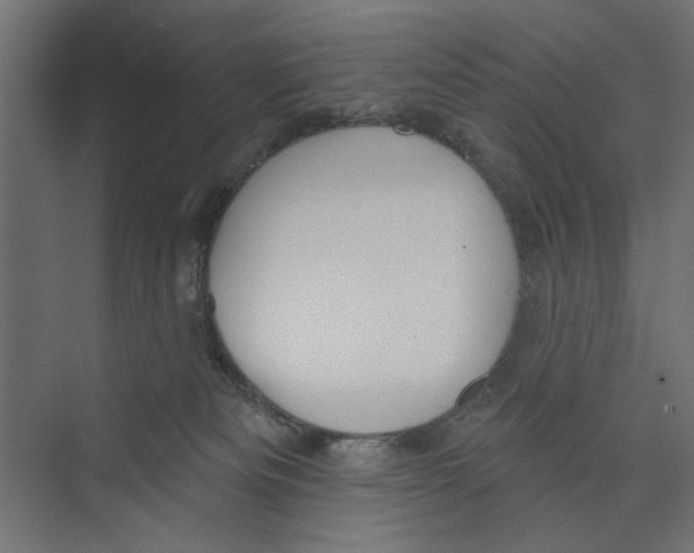 X0000073830133200609071525