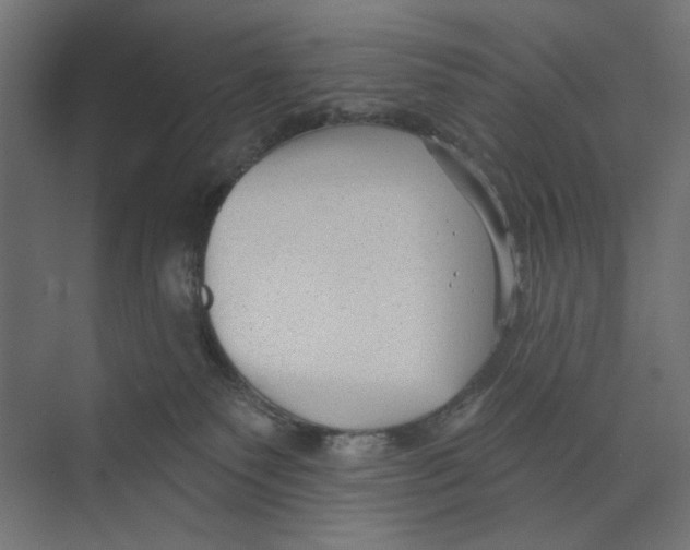 X0000073830135200609071525