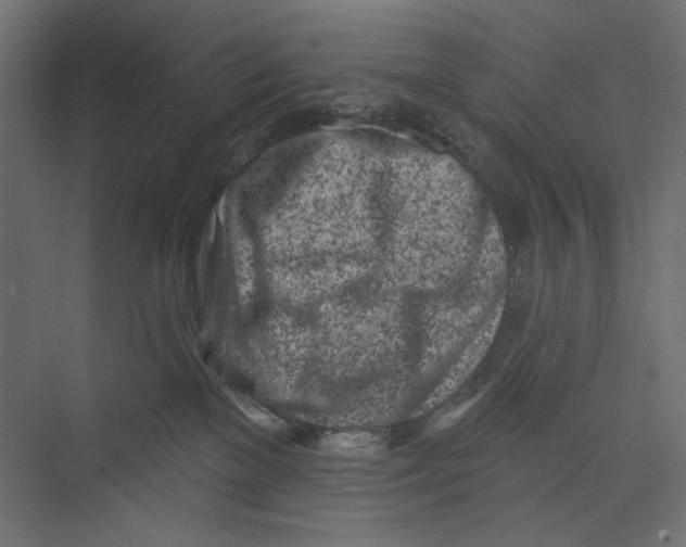 X0000073830137200609071525