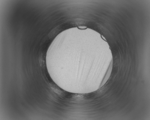 X0000073830140200609071525