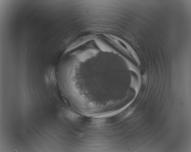 X0000073830143200609071524