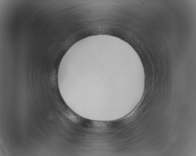 X0000073830144200609071524