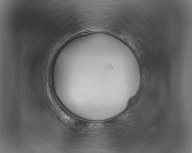 X0000073830145200609071524