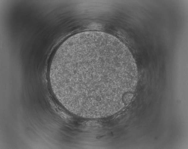 X0000073830146200609071524