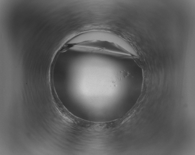 X0000073830148200609071524