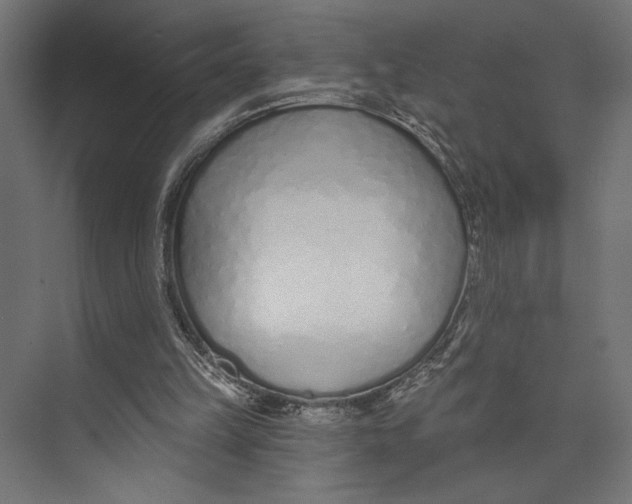 X0000073830149200609071524