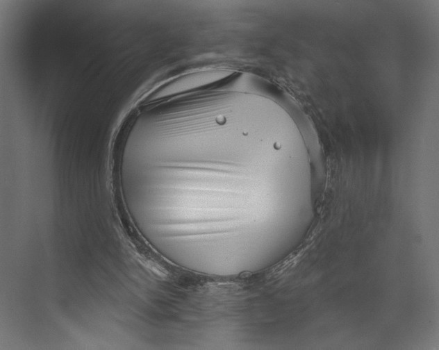 X0000073830150200609071524