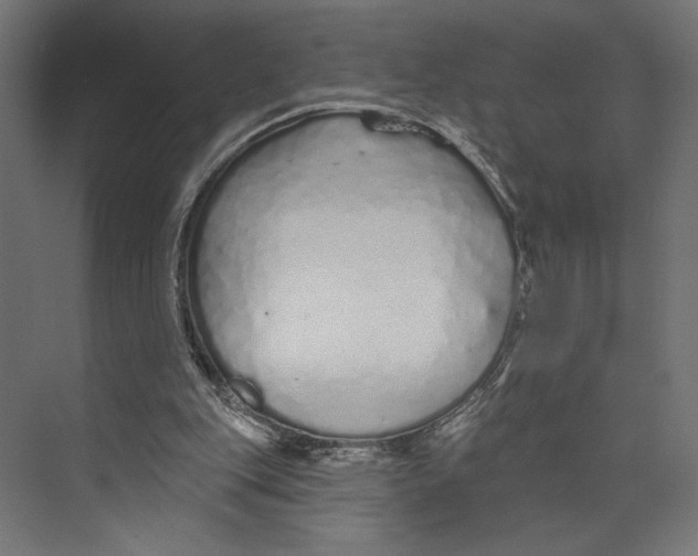 X0000073830151200609071524